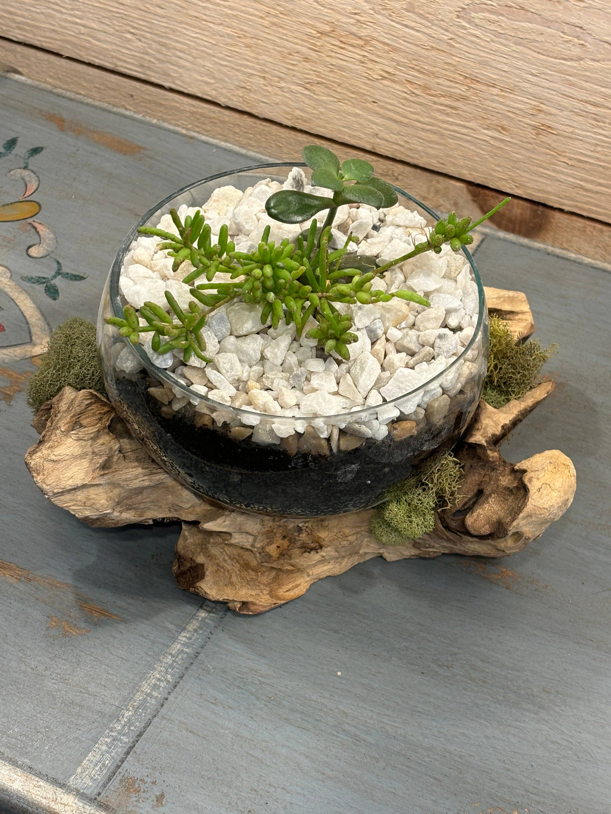 Glass Bowl on Wood Base/Succulent Dish