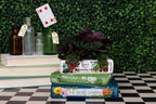 Stacked Books Planter featuring Alice in Wonderland, The Wind in the Willows, and The Secret Garden, styled front view