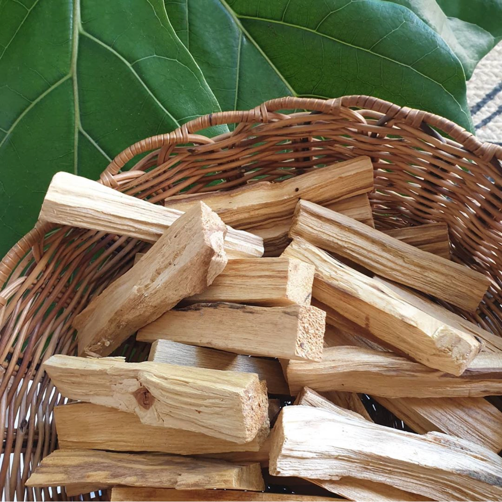PALO SANTO WOOD | 5 STICKS |  5-6 INCH HOLY WOOD INCENSE