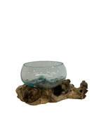 Glass Bowl on Wood Base/Succulent Dish - product photo
