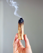PALO SANTO WOOD | 5 STICKS |  5-6 INCH HOLY WOOD INCENSE