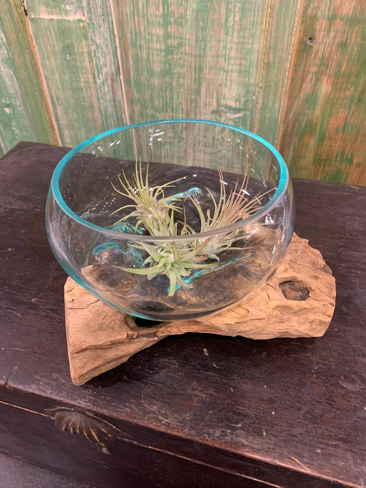 Glass Bowl on Wood Base/Succulent Dish
